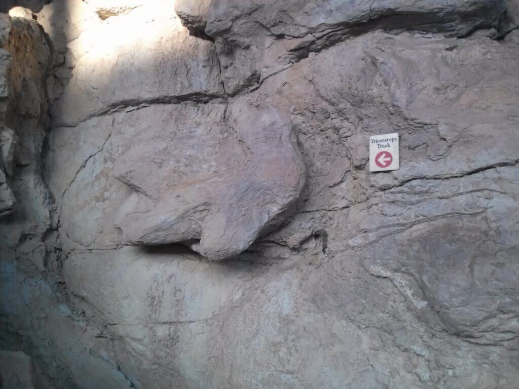 Triceratops Trail fossilized footprint of a triceratops in a rock wall with a sign with a red arrow and text "Triceratops Track."