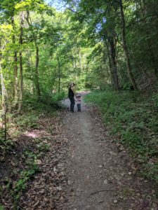 Going on a forest walk in Germany with kids