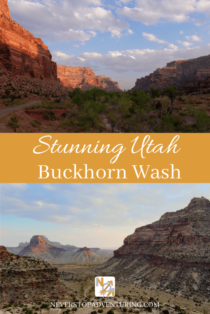 A Pinnable Image of the Stunning Buckhorn Wash, Utah Canyon Walls