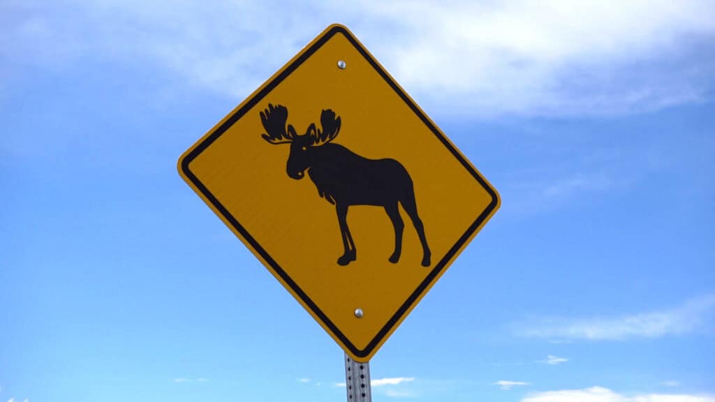 Moose sign