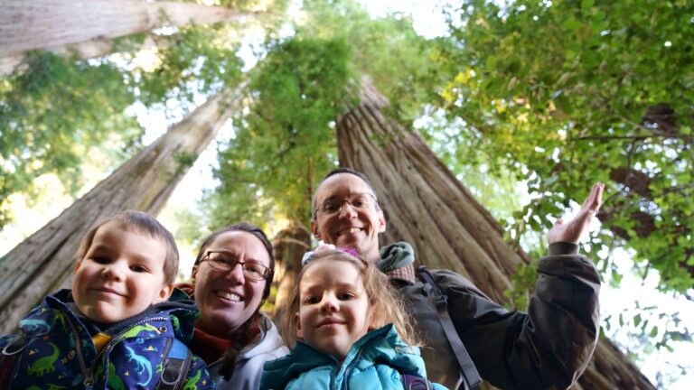 Redwoods National Park Day Trip Guide