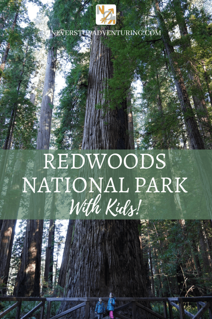 Pinnable image of kids in front of large tree at Redwoods National Park