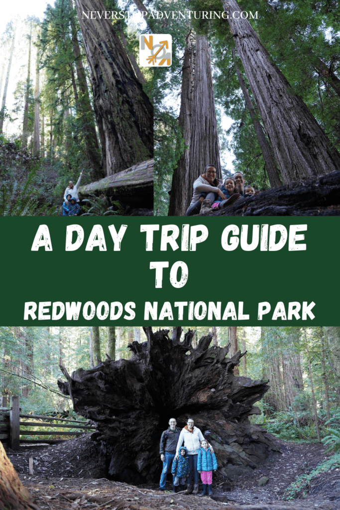 Pinnable image of Redwoods National Park sites