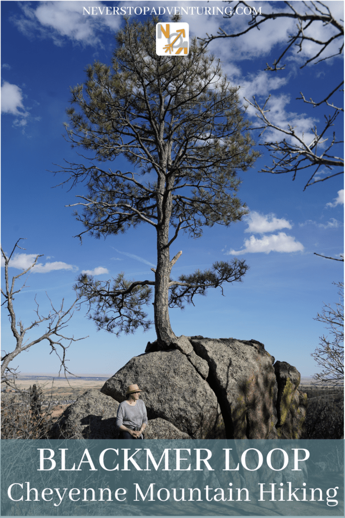 Tree growing out of rock at Cheyenne Mountain State Park