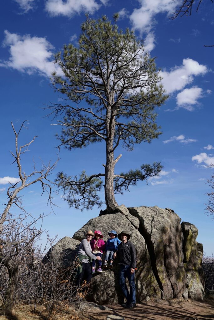 Blackmer Loop tree in rock