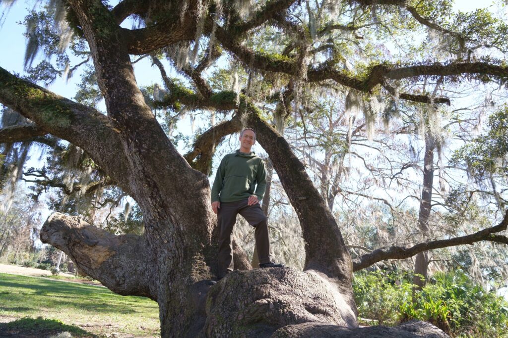 Man standing in huge oak tree